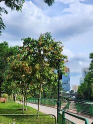 Mount Sinai Road (D10), Terrace #446686401